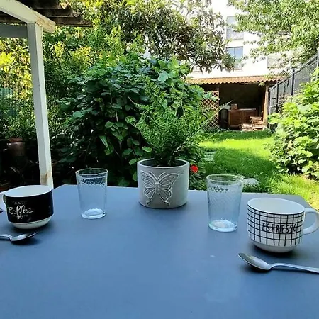 Studio Simone - Terrasse Et Jardin - Tv - Wifi Toulouse Buitenkant foto