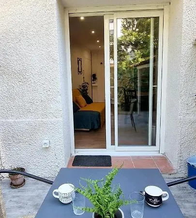 Studio Simone - Terrasse Et Jardin - Tv - Wifi Toulouse Buitenkant foto