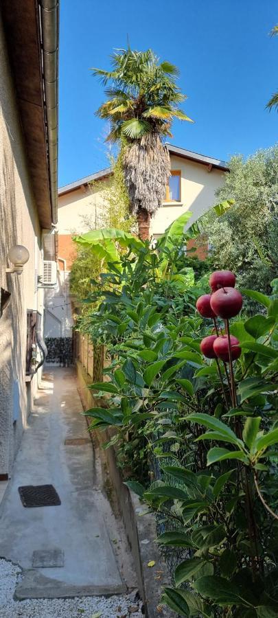 Apartment Simone - Terrasse Et Jardin - Tv - Wifi